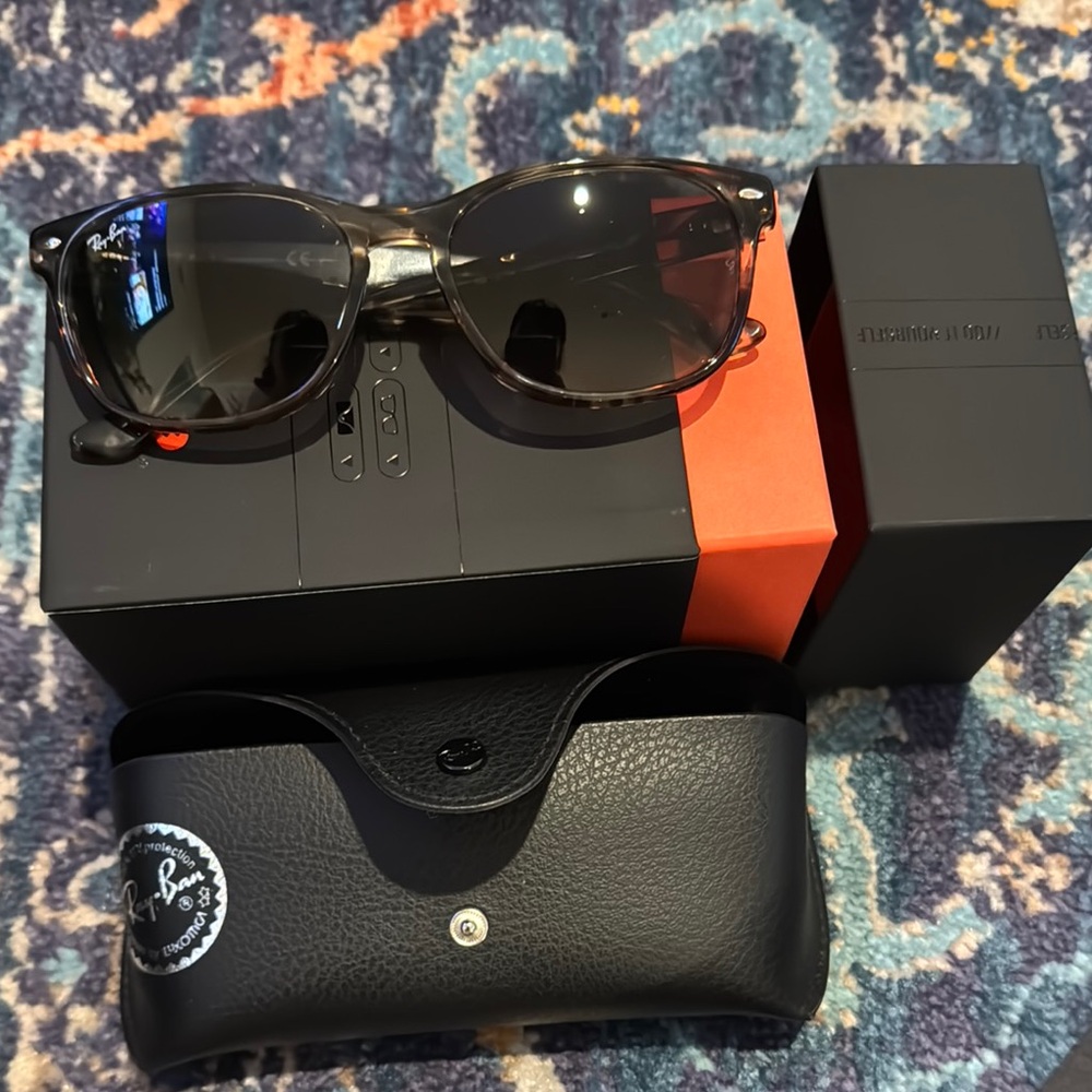 Ray-Ban Black Classic Sunglasses with Dark-Tinted Lenses